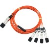 [FG-TRAN-QSFP-4SFP-5] ราคา จำหน่าย Fortigate 40G QSFP+ to 4x10G SFP+ Breakout Active Optical Cable 5 M